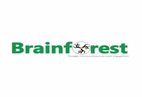 Brainforest au Gabon